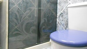 Une salle de bain avec une douche à parois de verre et des toilettes avec un abattant bleu.