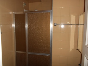Shower area features a showerhead above the door, a metallic door, and a glass panel.