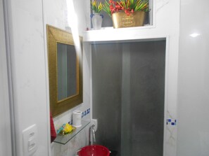 A bathroom with a glass shelf holding a potted plant, a mirror, and toiletries.