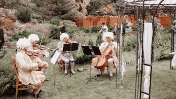 Outdoor wedding area