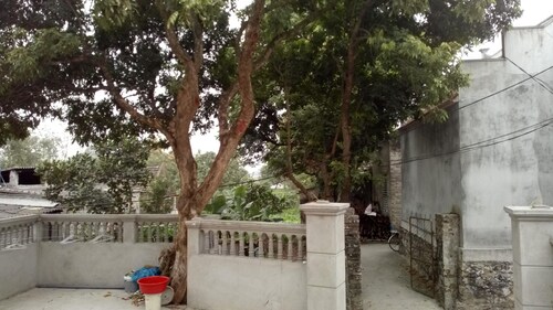 Hoang Homestay cung cấp chỗ nghỉ với tầm nhìn ra quang cảnh núi non ở Ninh Bình,