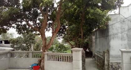 Hoang Homestay cung cấp chỗ nghỉ với tầm nhìn ra quang cảnh núi non ở Ninh Bình,