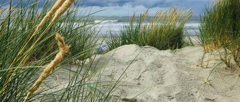 DĂ©tail de lâextĂ©rieur