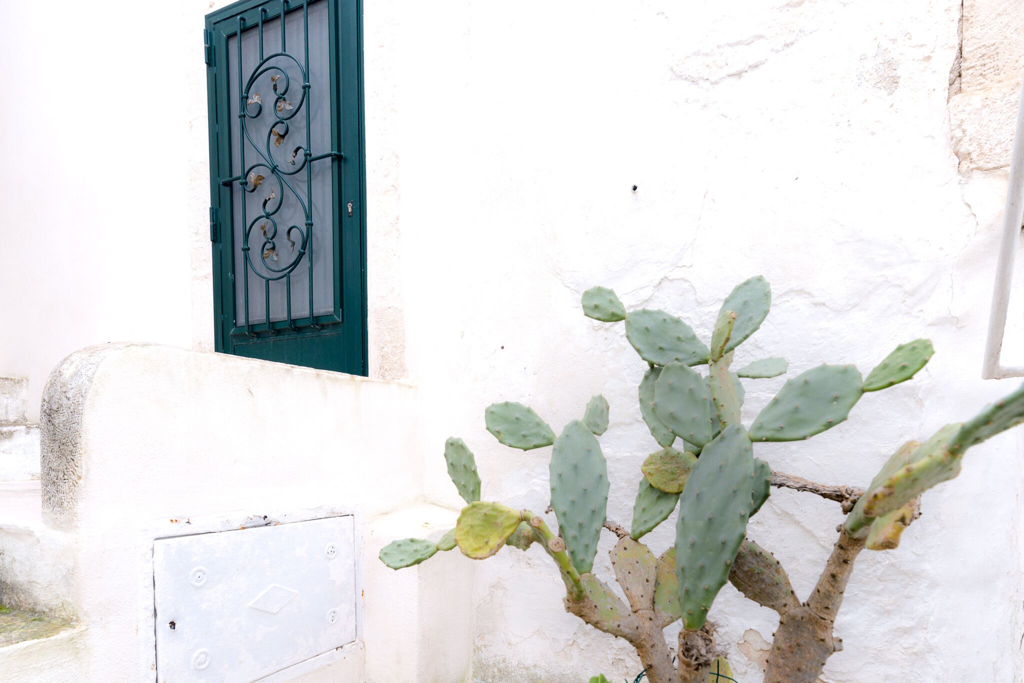 การตกแต่งภายนอก