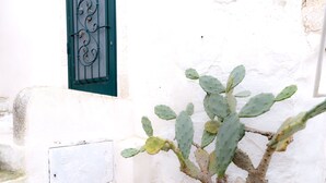 A white building with a green window and a cactus plant in front. - Casina Nina (Ostuni)