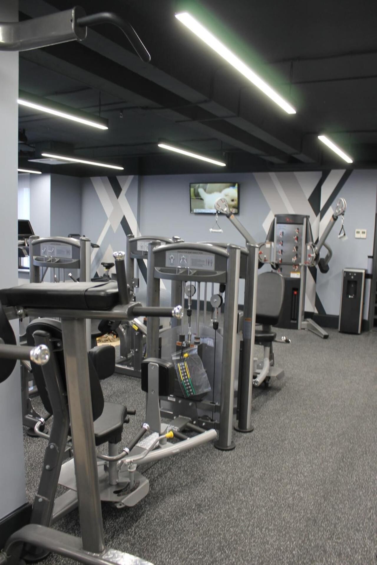 Un gimnasio con diversas máquinas de ejercicio, un televisor en la pared y un suelo cubierto de moqueta gris.