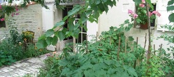 La Fleur de Vigne - Maison D'Hotes