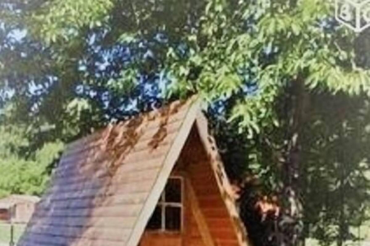 Une petite structure en bois en forme de toit à deux versants, dotée d’une porte et d’une échelle menant à son sommet, située dans une zone herbeuse, avec des arbres en arrière-plan.