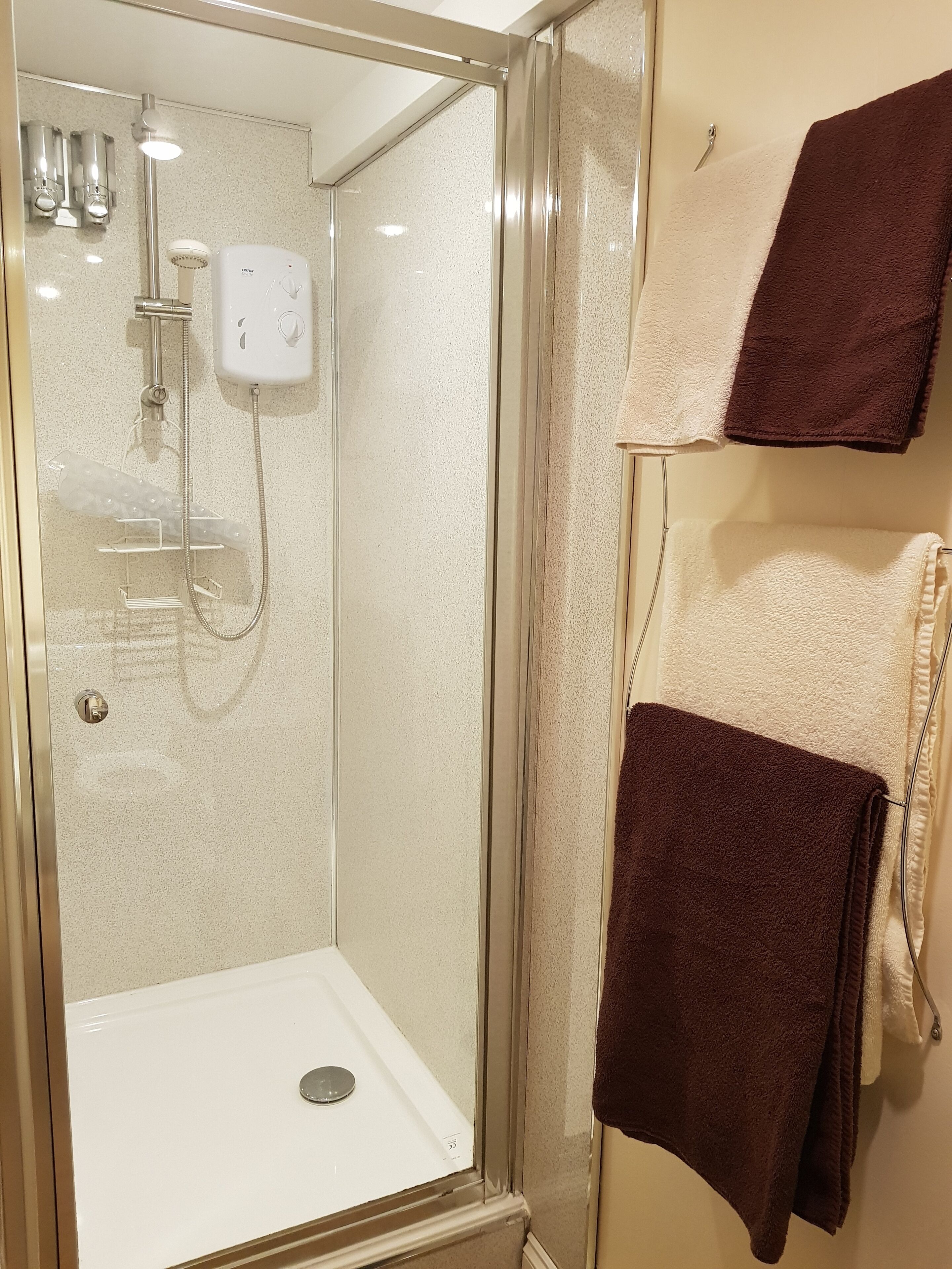 The Fuchsia Room (1st Floor) | Bathroom shower