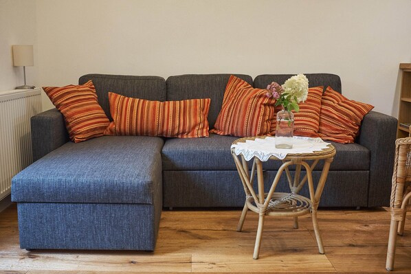 Televisión, chimenea y tenis de mesa 