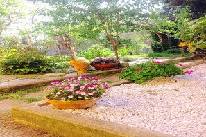Property grounds - Recently renovated attic (Rigomagno)
