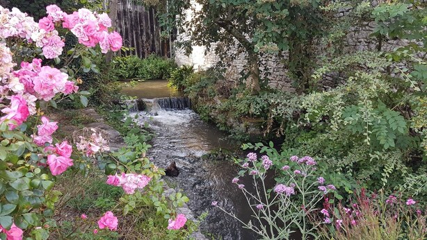Een tuin met een kleine waterval, weelderige begroeiing en roze bloemen.