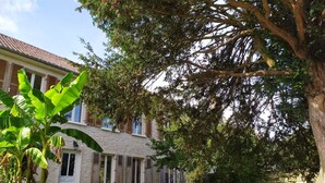 Een huis met een stenen gevel, een tuin met een moestuin en een grote boom die schaduw geeft.