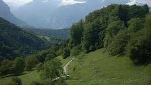 Un paisaje rural con un camino serpenteante, campos verdes y montañas distantes.