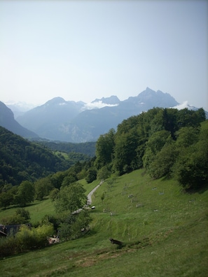 Botón de imagen sin clasificar, 5 de 11