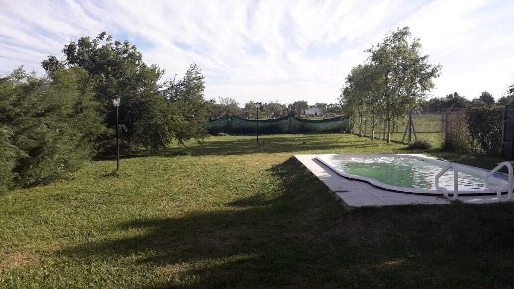 A backyard with a swimming pool, a lawn, and trees.