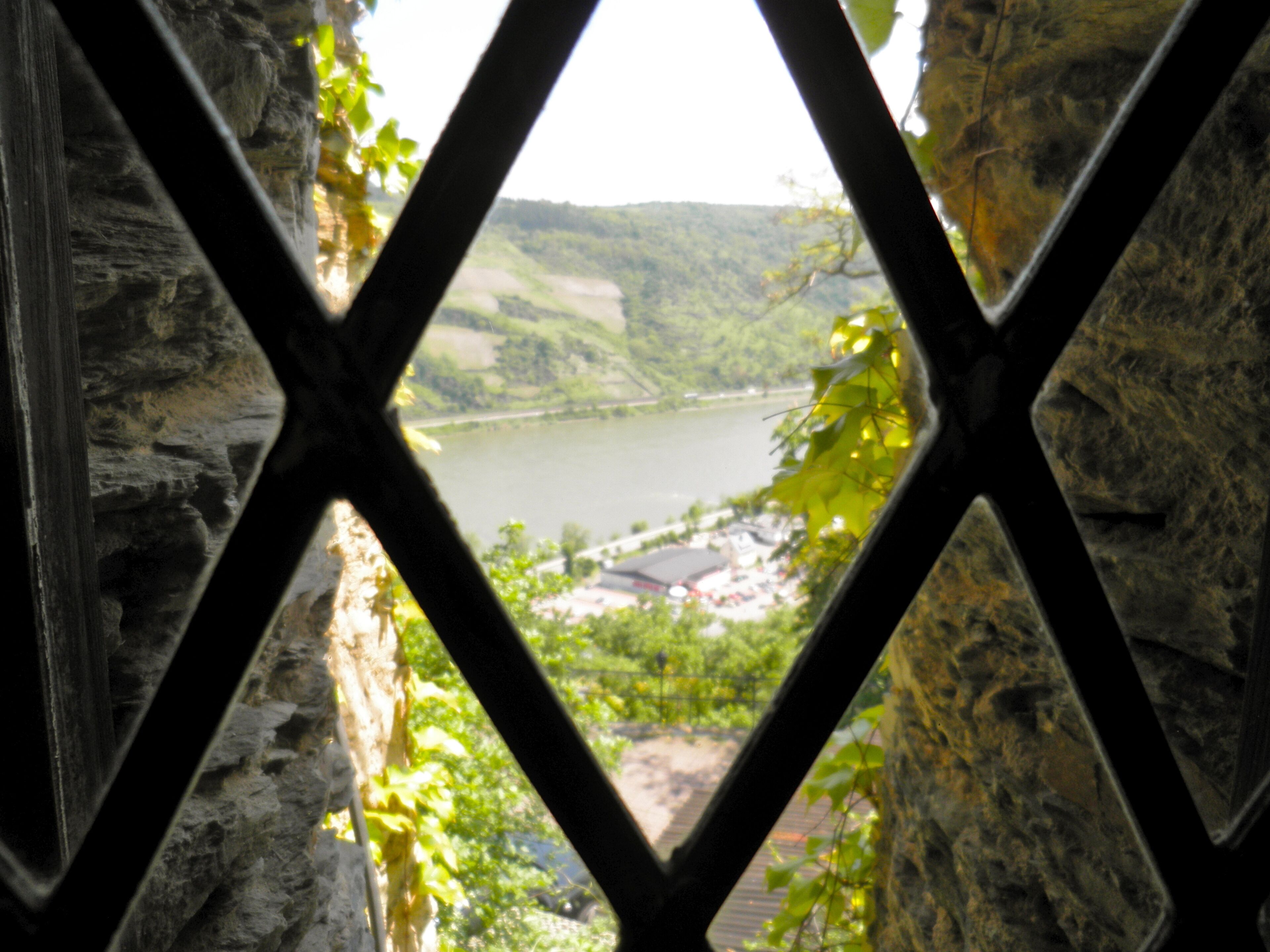 family suite | view from room