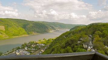A scenic view of a river valley with lush greenery and a small town.