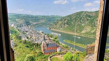 Une vue depuis une fenêtre donnant sur une ville, avec une rivière, une église imposante et la verdure environnante.