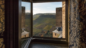 Una habitación con un amplio ventanal que ofrece vistas a un viñedo y edificios de piedra.