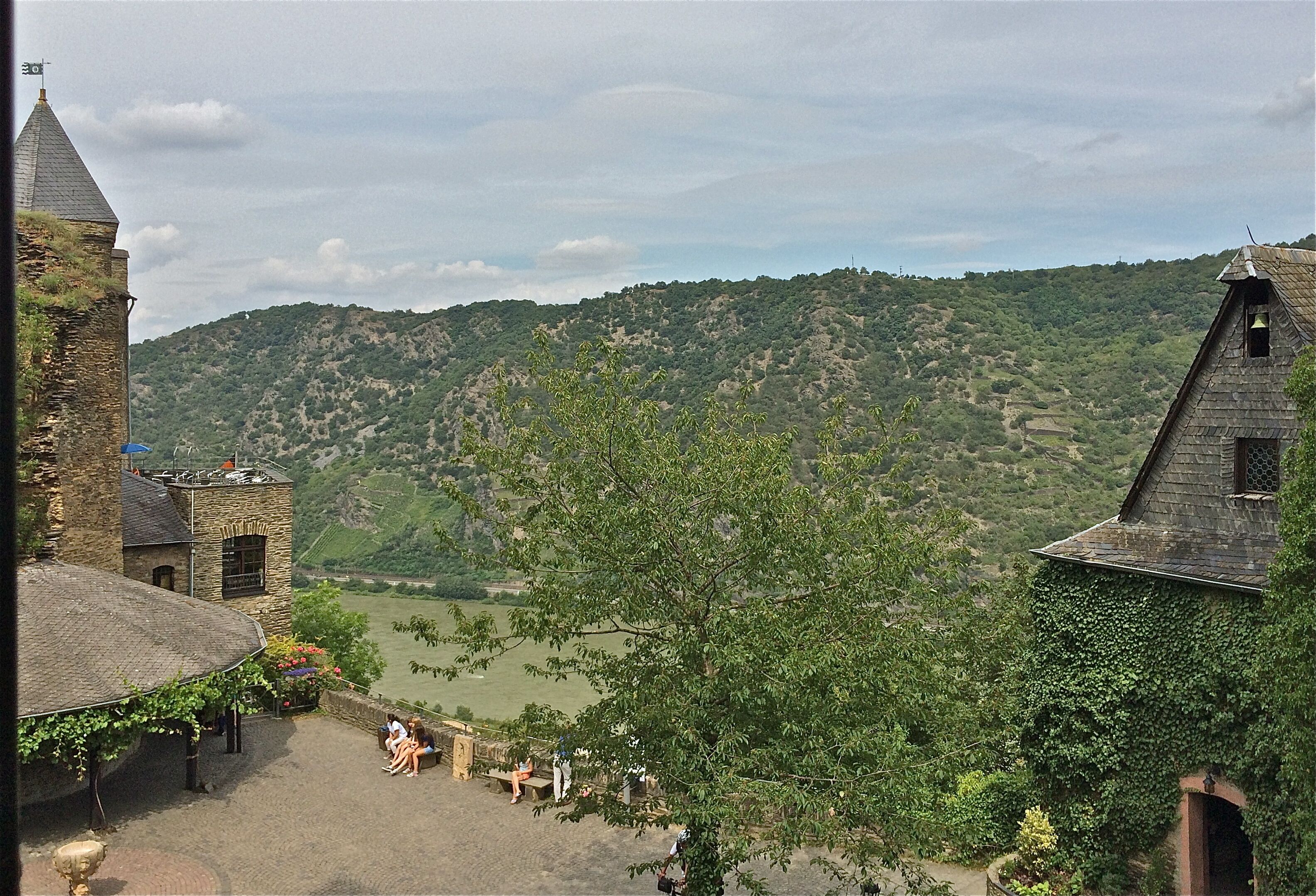 A historic building with a tower, a vineyard in the background, and a paved area with people.