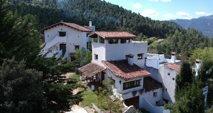 Talo Los Gatos 1–12 paikkaa. 4 makuuhuonetta kylpyhuoneella, takkahuone, kaali.