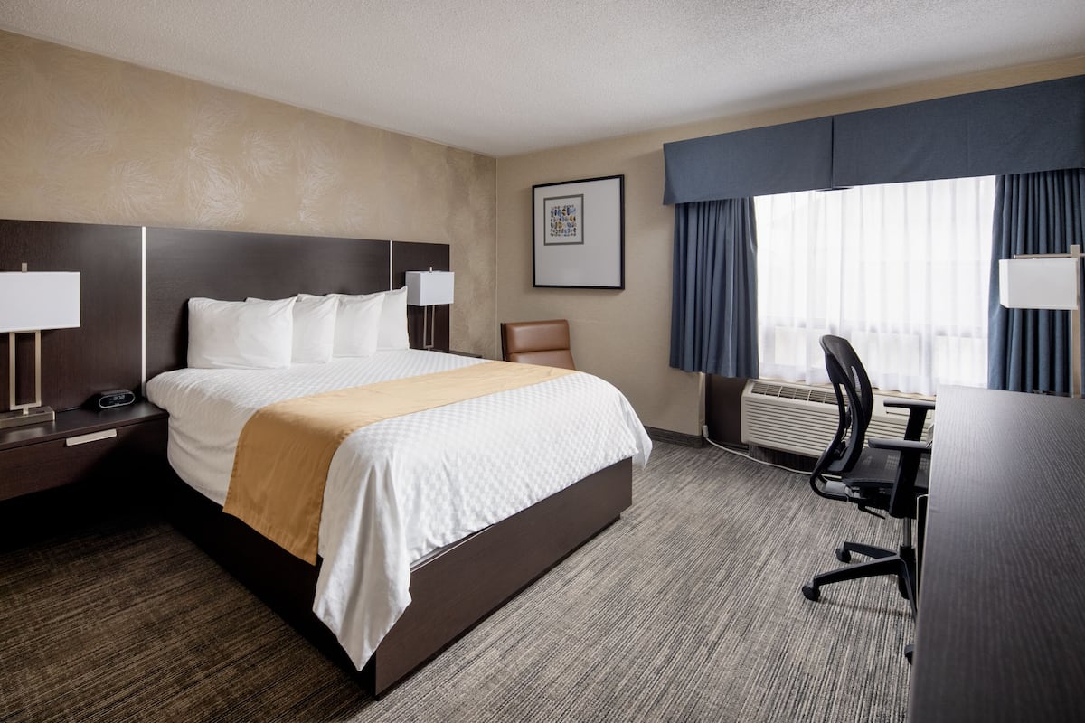 Standard Single Room