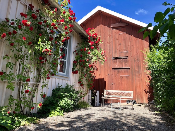 A rustic building with a wooden exterior, a gravel driveway, and a bench.
