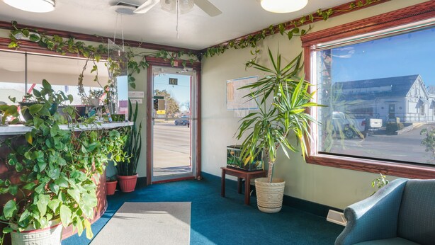 A room with a blue carpet, a ceiling fan, a large window with a view of a street, and several potted plants. - OYO Hotel Liberal, Kansas (Liberal)