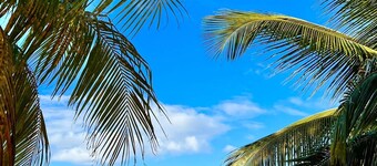 Villa Sunrise, sunny palm 10% Promotion