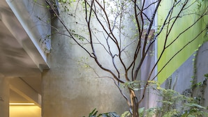 Una fuente con un árbol y exuberante follaje en un patio.