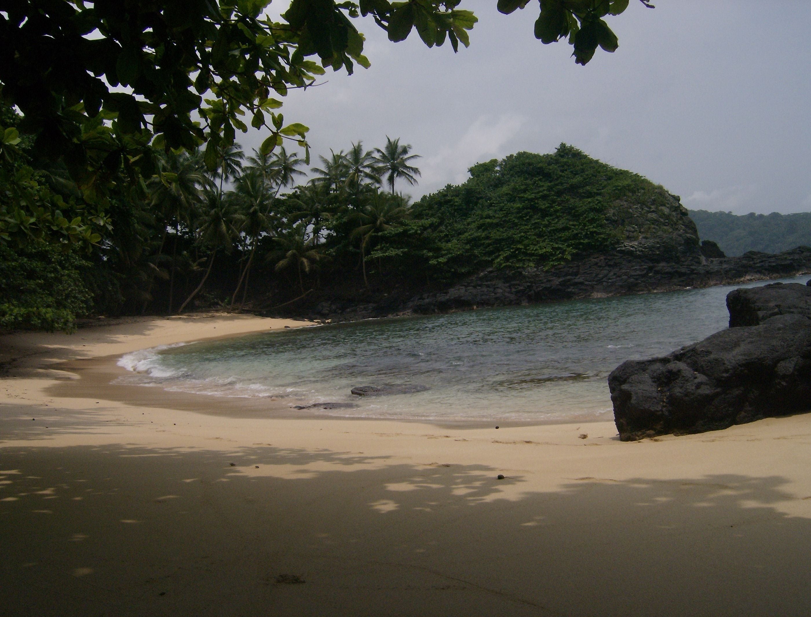 En strand med klart vand, sandbund og frodig beplantning.