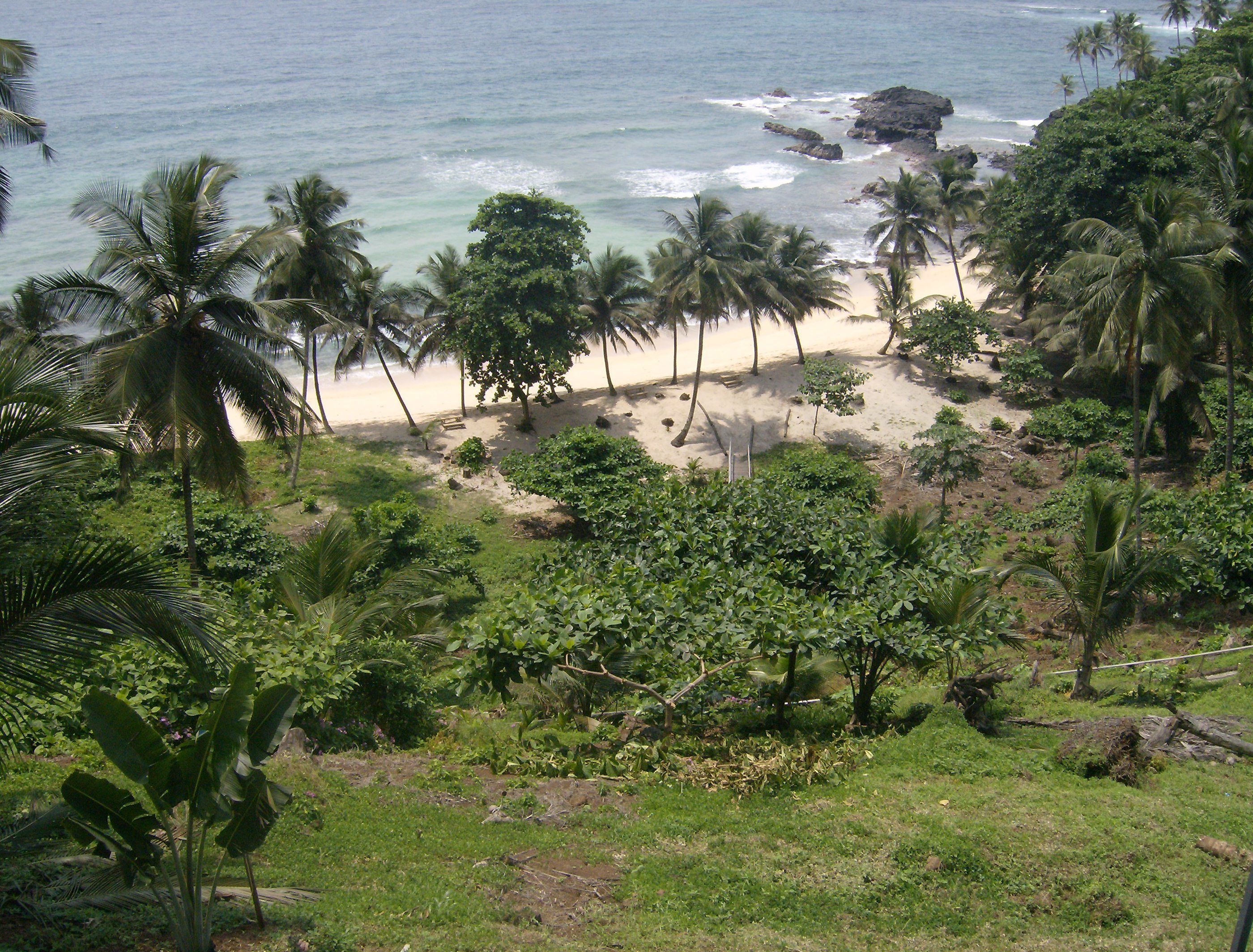 A tropical beach with palm trees and a rocky shoreline.
