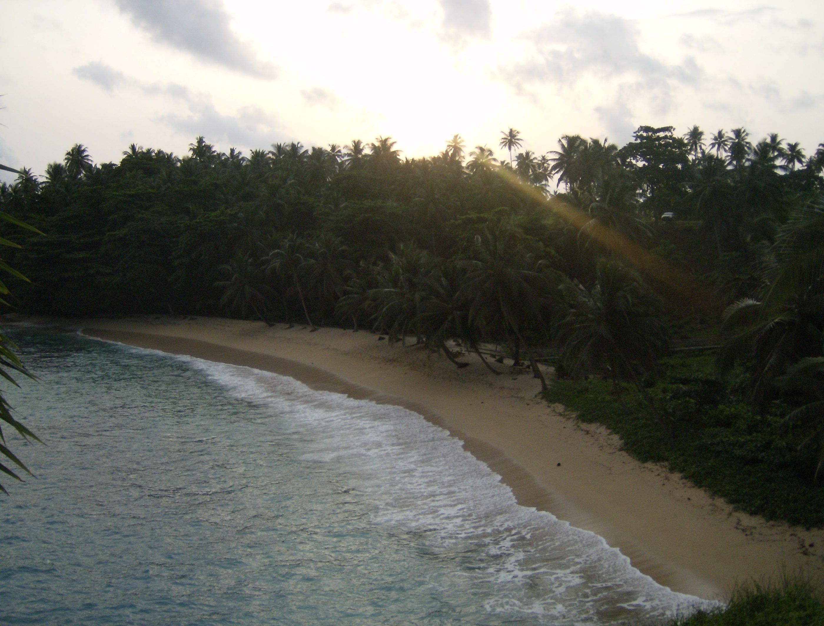 A beach with palm trees and ocean waves.