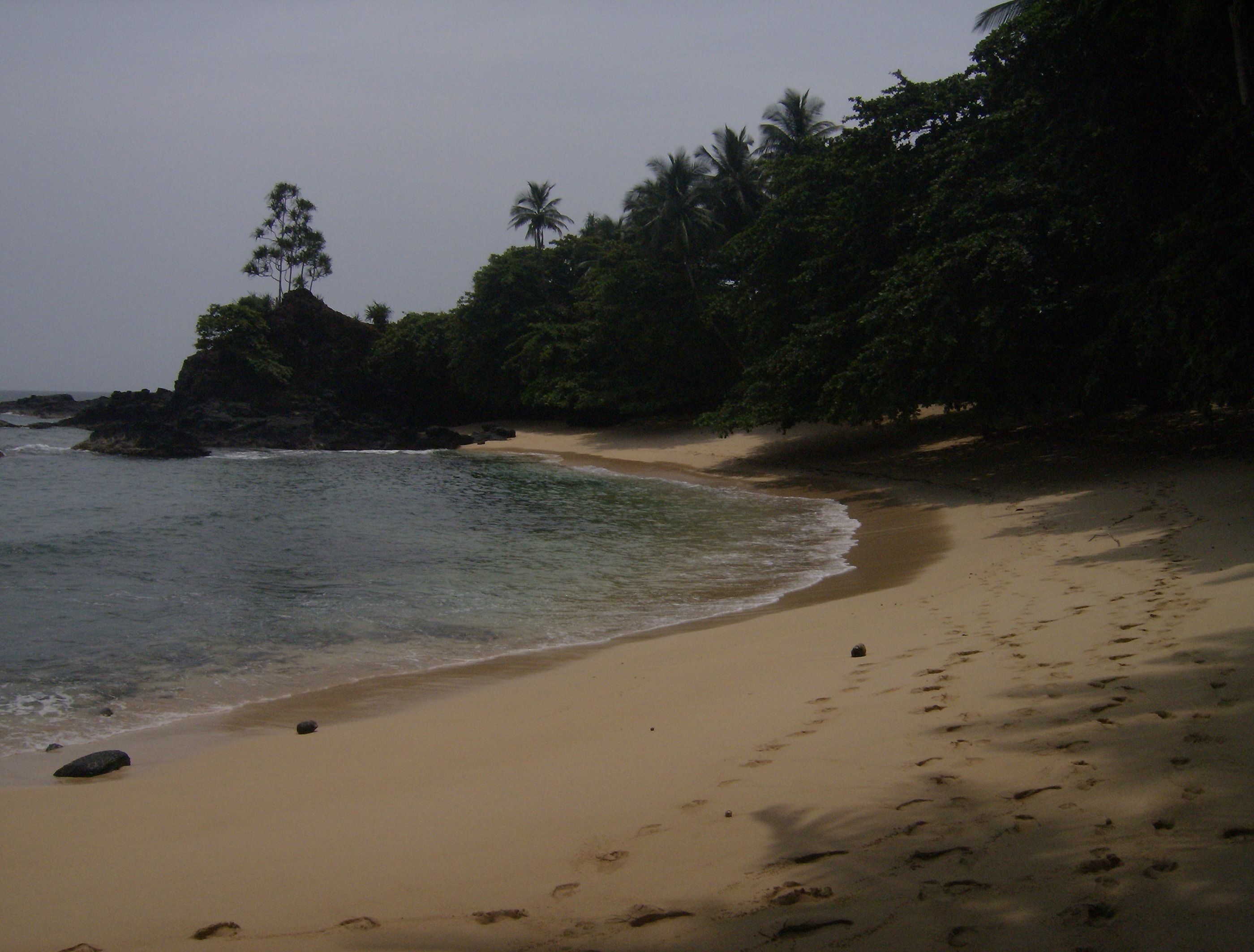 A beach with clear water, sandy shore, and dense tropical vegetation.