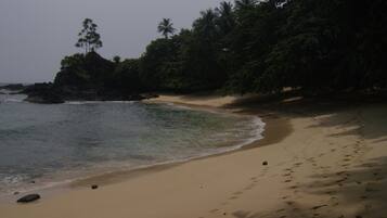 A beach with clear water, sandy shore, and dense tropical vegetation.