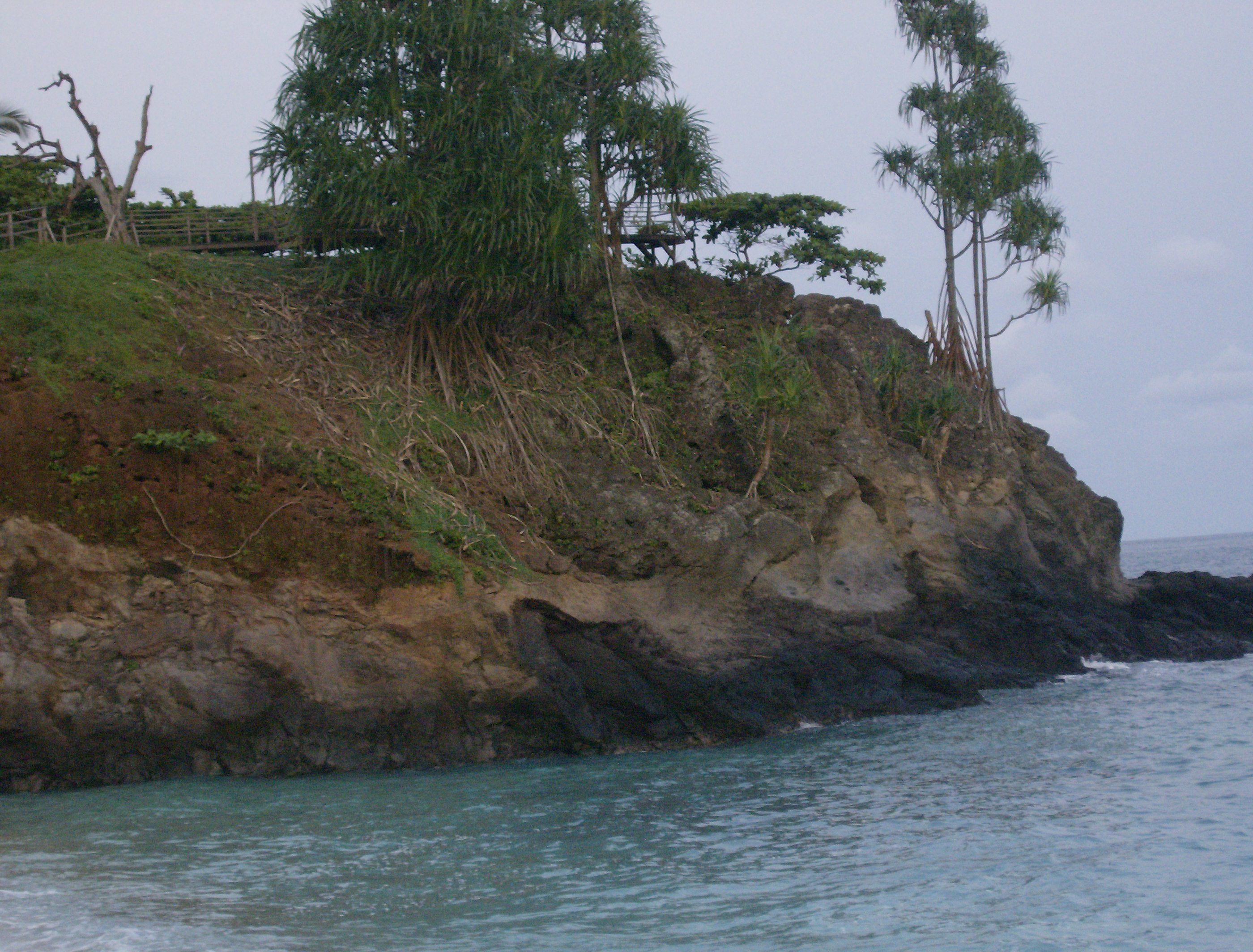 A rocky coastline with sparse vegetation and a view of the ocean.