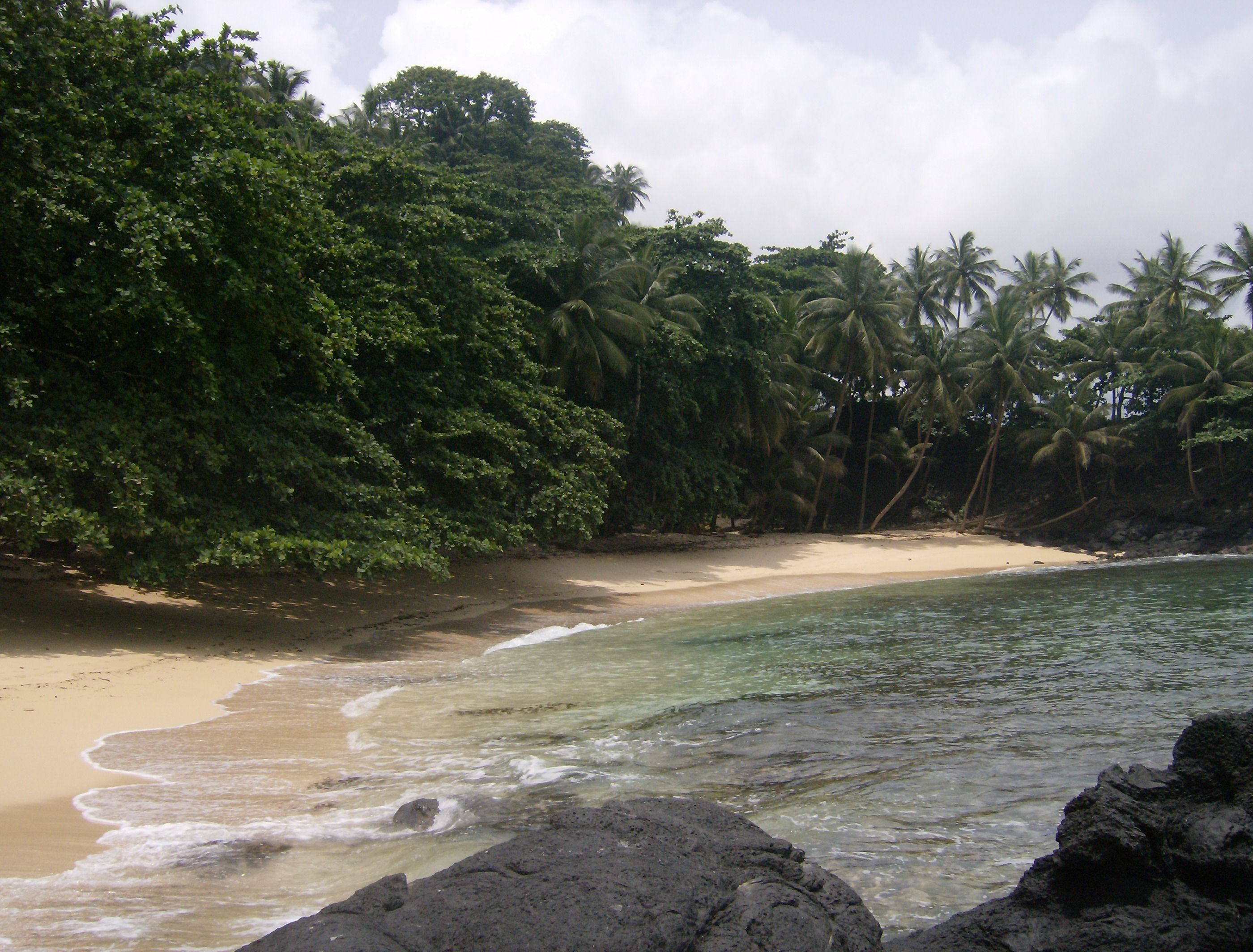 A beach with clear water, sandy shore, and dense tropical foliage.