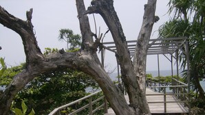 A wooden pathway with railings, surrounded by greenery and leading to a wooden structure with a view of the sea.