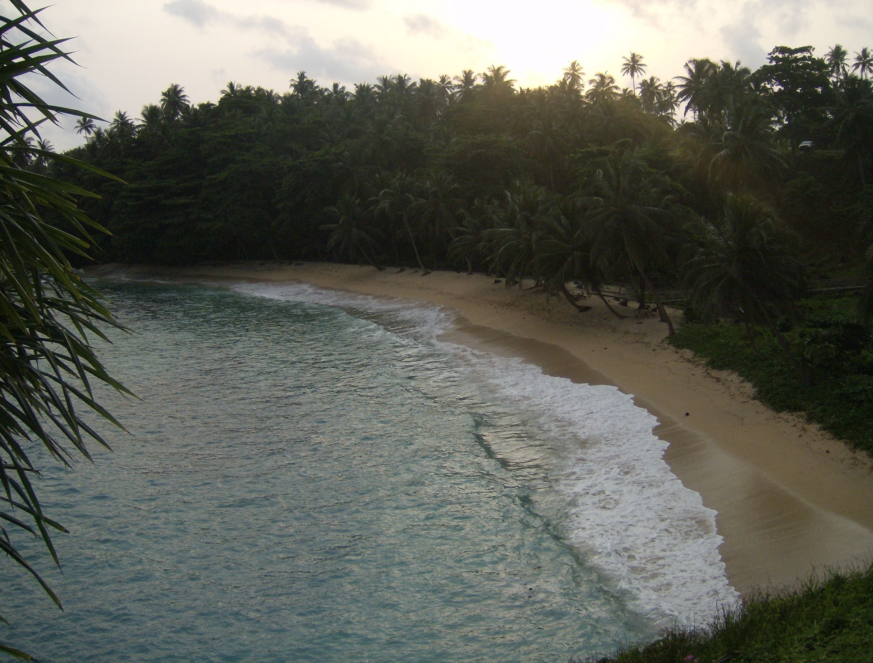Ein Strand mit klarem türkisblauem Wasser, sandigem Ufer und dichter Palmenlandschaft im Hintergrund.