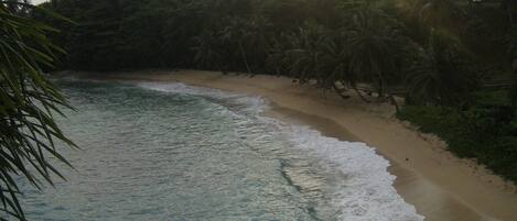 Ein Strand mit klarem türkisblauem Wasser, sandigem Ufer und dichter Palmenlandschaft im Hintergrund.