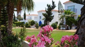 Un quartier résidentiel avec des bâtiments blancs, une porte bleue et des fleurs roses au premier plan.