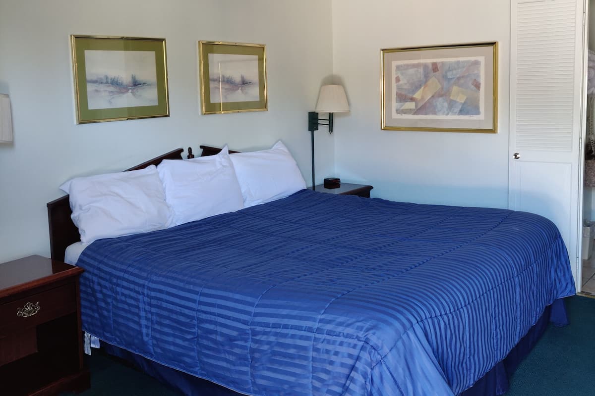 A hotel room with a large bed, two framed pictures on the wall, a bedside table with a lamp, and a door with a white closet.