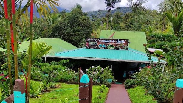 A pathway leading to a building with a green roof, surrounded by lush greenery and a sign advertising a restaurant. - Enjoy the Nature at Posada Río Celeste La Amistad (Costa Rica)