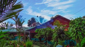 A lush garden pathway leading to a building with a red roof, surrounded by various tropical plants and a clear blue sky. - Enjoy the Nature at Posada Río Celeste La Amistad (Costa Rica)