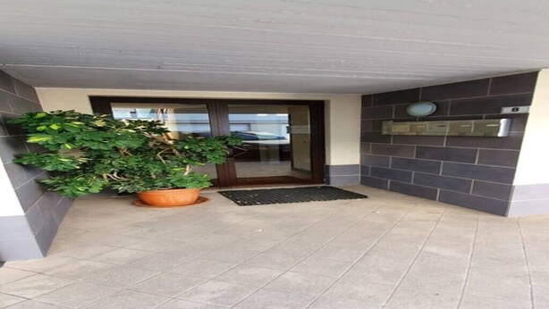 Uma entrada moderna com planta em vaso, porta de vidro e piso revestido de azulejos.