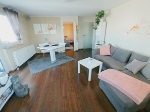 Televisio, takka, DVD-soitin, kirjoja