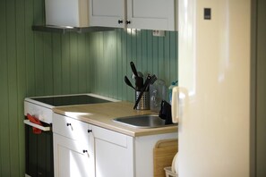 Ísskápur í fullri stærð, örbylgjuofn, bakarofn, kaffivél/teketill