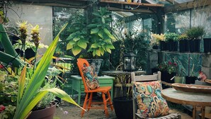 A greenhouse with various plants, a wooden table, chairs, and a hanging chair.