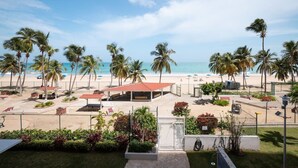 A beach view with palm trees, a covered seating area, and a fenced garden.